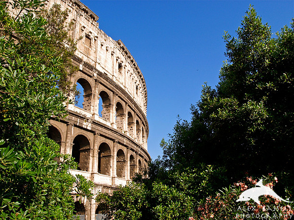 The Colosseum