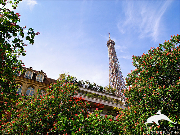 Springtime Eiffel Tower