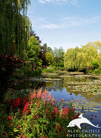 Claude Monet's Jardin d'Eau