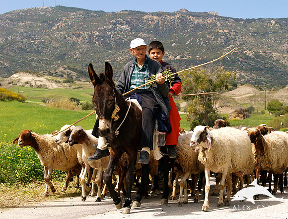 Rural Cyprus