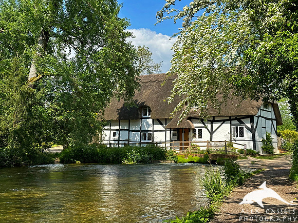The Fulling Mill