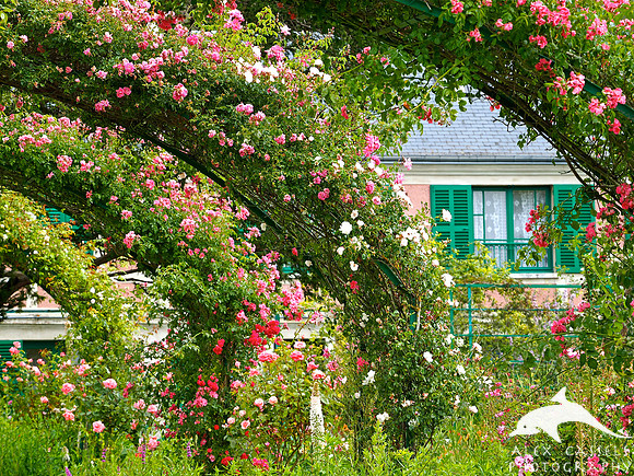 Claude Monet's garden at Giverny