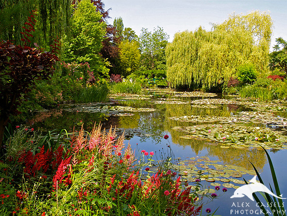 Claude Monet's Water Garden