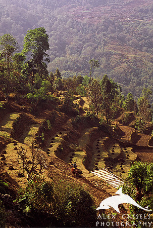 Rural Nepal